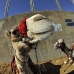 camel_giza_cai_v_0008_egy0076.jpg
